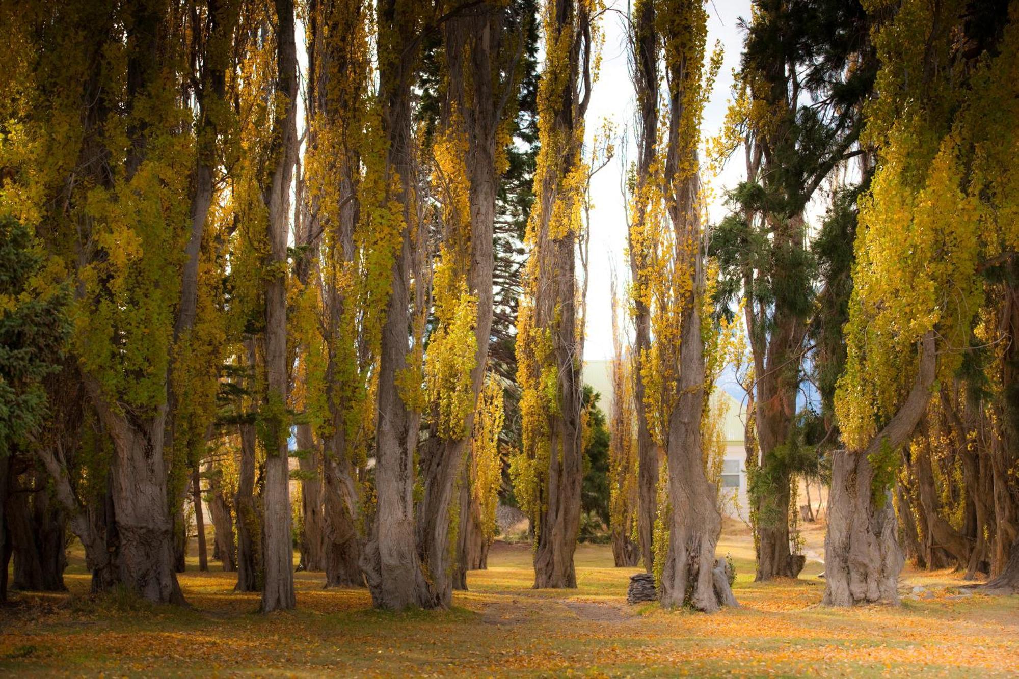 Estancia Cristina Lodge - El Calafate Eksteriør billede